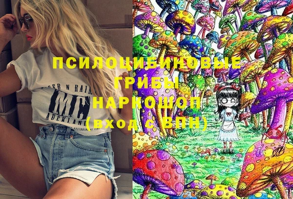 мдпв Балахна