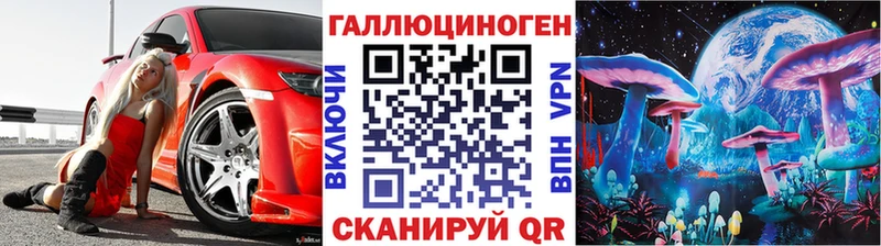 как найти закладки  Тетюши  Галлюциногенные грибы Psilocybine cubensis 